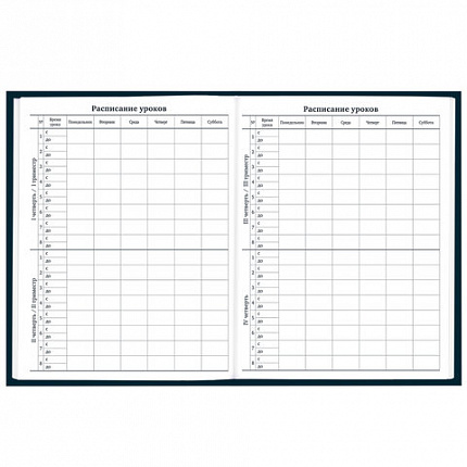 Дневник 1-11 класс 40 л., твердый, BRAUBERG, матовая ламинация, "Dragon", 107178