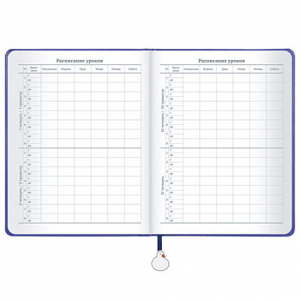Дневник 1-11 класс 48 л., кожзам (твердая с поролоном), печать, ляссе с аппликацией, BRAUBERG, "Гуси", 107233