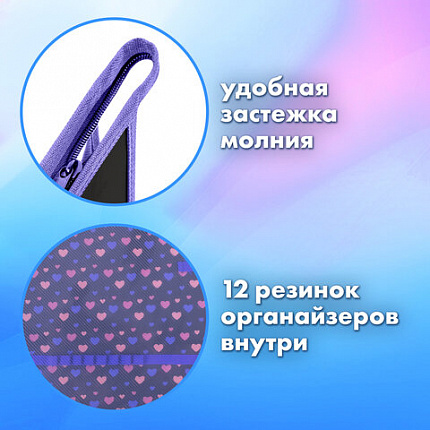Папка для труда на молнии BRAUBERG А4, 2 отделения, органайзер, "Sleeping kitten", 273401