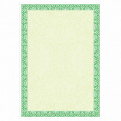 Сертификат-бумага для лазерной печати BRAUBERG, А4, 25 листов, 115 г/м2, "Зеленый интенсив", 122623