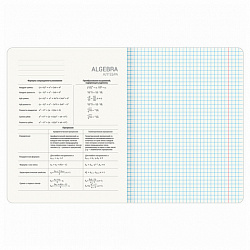 Тетради предметные, КОМПЛЕКТ 12 ПРЕДМЕТОВ, 48 л., TWIN лак, BRAUBERG "ASIA", 405174