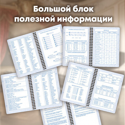 Дневник для музыкальной школы 48 листов, гребень, пластиковая обложка, картон, BRAUBERG, "МИКС", 107519