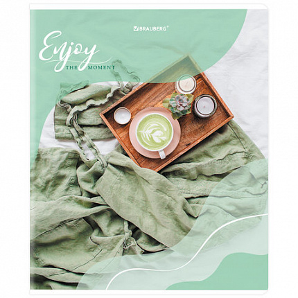 Тетрадь А5, 48 л., BRAUBERG, скоба, клетка, матовая ламинация, выборочный лак, "Sweets" (микс в спайке), 404373