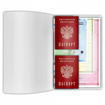 Папка-органайзер, обложка семейная для 2-х комплектов документов, А4, ПВХ, матовая, STAFF, 238873