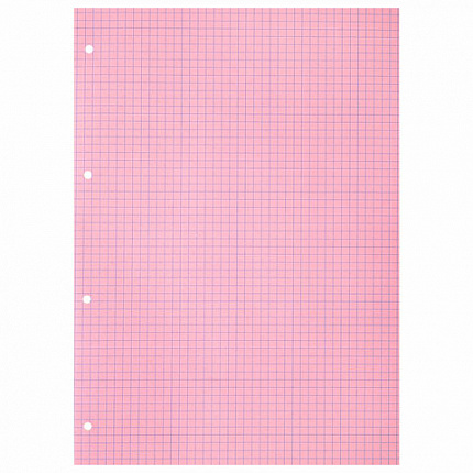 Сменный блок к тетради на кольцах БОЛЬШОЙ ФОРМАТ А4, 120 л., BRAUBERG, (4 цвета по 30 листов), 404519