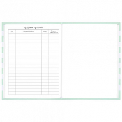 Дневник 1-11 класс 48 л., твердый, BRAUBERG, блестки, с подсказом, "Котик", 106606