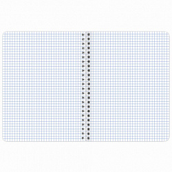 Тетрадь А5 120 л. BRAUBERG, гребень, клетка, глянцевая ламинация, "Растения" (микс в спайке), 404448