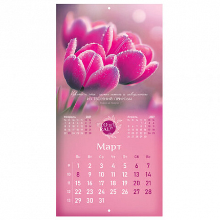 Календарь настенный перекидной 2027г, BRAUBERG, 12 листов, 28,5х28,5 см, "Floral", 118425