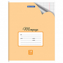 Тетрадь 18 л. BRAUBERG "ЭКО", клетка, обложка картон 170 г/м2, ПАСТЕЛЬНАЯ С УГОЛКОМ, 402804