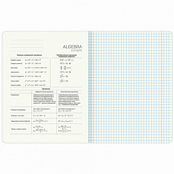 Тетради предметные, КОМПЛЕКТ 12 ПРЕДМЕТОВ, 48 л., матовая ламинация, фольга, BRAUBERG "GOLDY", 405178