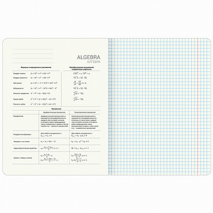 Тетради предметные, КОМПЛЕКТ 12 ПРЕДМЕТОВ, 48 л., матовая ламинация, фольга, BRAUBERG "GOLDY", 405178