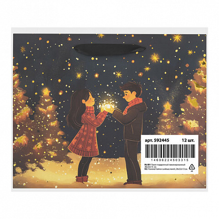 Пакет подарочный (1 шт.) новогодний, 26х13х32 см, "Love story", фольга, ассорти, ЗОЛОТАЯ СКАЗКА, 592445
