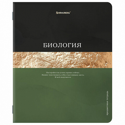 Тетради предметные, КОМПЛЕКТ 12 ПРЕДМЕТОВ, 48 л., матовая ламинация, фольга, BRAUBERG "GOLDY", 405178