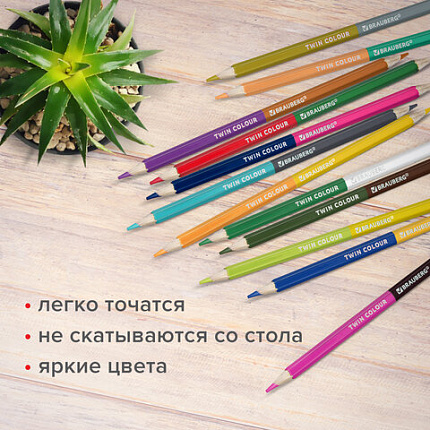 Карандаши цветные мягкие двусторонние BRAUBERG PREMIUM TWIN COLOUR, 24 штуки, 48 цветов, 181875