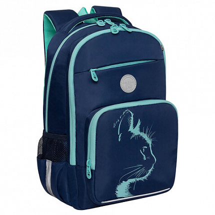 Рюкзак GRIZZLY школьный, анатомическая спинка, 2 отделения, для девочек, "AZURE", 40х25х13 см, RG-564-4/1