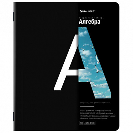 Тетради предметные, КОМПЛЕКТ 12 ПРЕДМЕТОВ, INTELLIGENCE, 48л, матовая ламинация, BRAUBERG, 404845