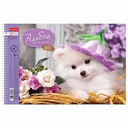 Альбом для рисования, А4, 40 листов, спираль, обложка картон, HATBER, 205х300 мм, "Любимцы" (5 видов), 004142, 40А4Всп