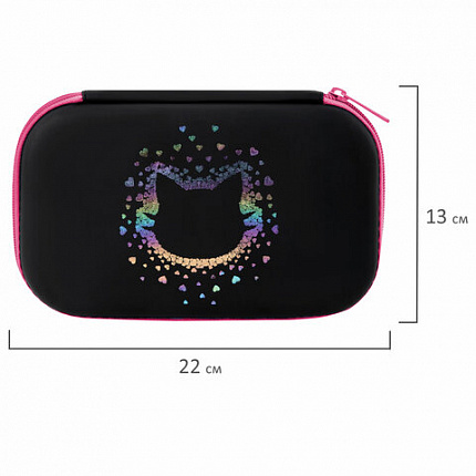 Пенал BRAUBERG SHINY, 1 отделение, 1 откидная планка, EVA, 22х13х4 см, "Pretty face", 273516