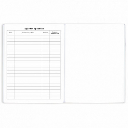 Дневник 1-11 класс 40 л., на скобе, ПИФАГОР, обложка картон, МИКС "Универсальный", 107139