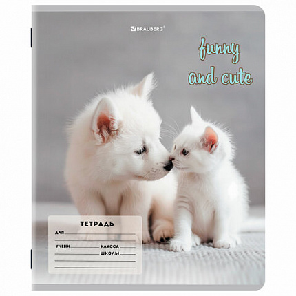 Тетрадь 12 л. BRAUBERG косая линия, обложка картон, CATS AND DOGS, 107288
