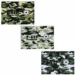 Папка для тетрадей ПИФАГОР А4, 1 отделение, ПВХ, на молнии, ассорти "Camouflage", 32x23 см, 273830