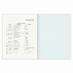Тетрадь предметная "SPORT CLUB" 48 л., обложка картон, ГЕОМЕТРИЯ, клетка, подсказ, BRAUBERG, 404799