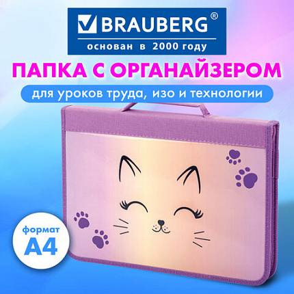 Папка на молнии BRAUBERG А4 с ручкой, с органайзером, 1 отделение, "Cheerful", 271448