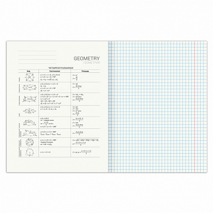 Тетрадь предметная SPORT CLUB 48л, обложка картон, ГЕОМЕТРИЯ, клетка, подсказ, BRAUBERG, 404799