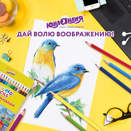 Карандаши цветные ЮНЛАНДИЯ "ДОМИКИ", 36 цветов, пластиковые, классические, грифель мягкий 3 мм, 181839