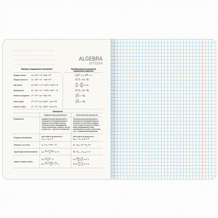 Тетради предметные, КОМПЛЕКТ 12 ПРЕДМЕТОВ, 48 л., TWIN-лак, BRAUBERG, "DOG БОБИК", 404840
