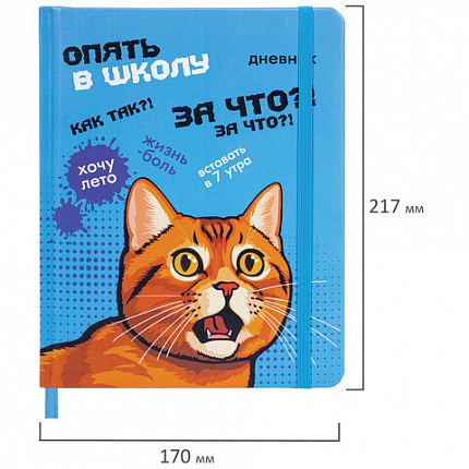 Дневник 1-11 класс 48 л., кожзам (твердая), печать, резинка, конверт, BRAUBERG, "Опять в школу", 107231