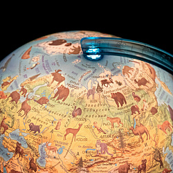 Глобус интерактивный + очки VR, зоогеографический, GLOBEN, 25см, с подсветкой, INT12500306