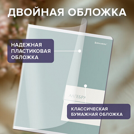 Тетради предметные, КОМПЛЕКТ 12 ПРЕДМЕТОВ 48л, пластиковая обложка, BRAUBERG "MonoPastel", 405540