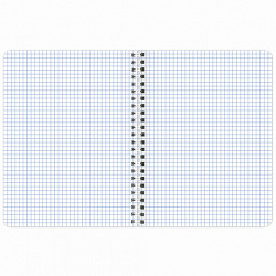Тетрадь А5 48 л. BRAUBERG гребень, клетка, обложка картон, "Urban Style" (4 вида в спайке), 404338