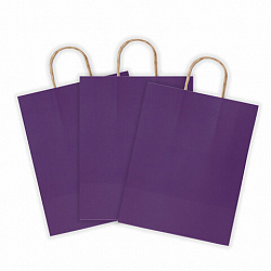 Крафт-пакет бумажный "Dark violet" 26х15х35 см, с кручеными ручками, 80 г/м2, моноцвет, 112405