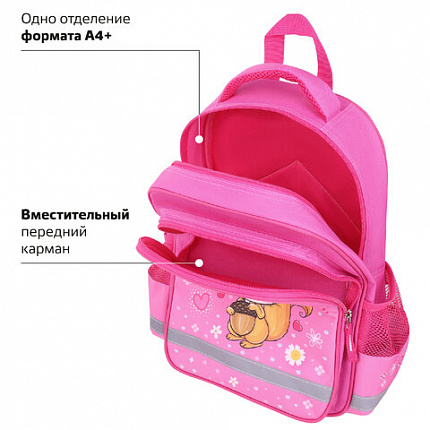 Рюкзак ПИФАГОР SCHOOL, 1 отделение, 3 кармана, "Squirrel", 38x28х14 см, 271404