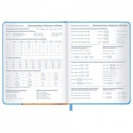 Дневник 1-11 класс 48 л., кожзам (твердая), печать, резинка, конверт, BRAUBERG, "Опять в школу", 107231