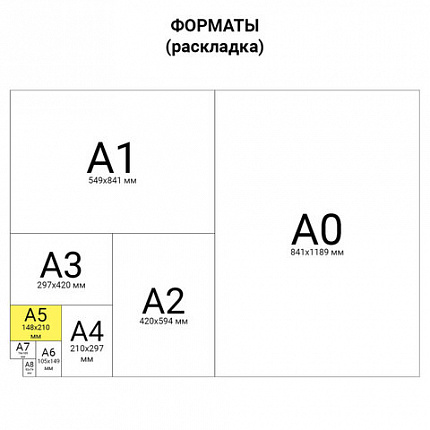 Тетрадь А5, 48 л., BRAUBERG, гребень, клетка, обложка картон, ОДНОТОННАЯ, 401871