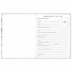 Дневник 5-11 класс 48 л., твердый, BRAUBERG, глянцевая ламинация, с подсказом, "Котик", 107188