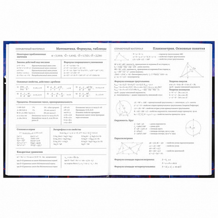 Дневник 5-11 класс 48 л., твердый, BRAUBERG, глянцевая ламинация, с подсказом, "DELIGHT", 106864