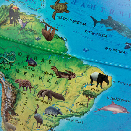 Глобус интерактивный + очки VR, зоогеографический, GLOBEN, 25см, с подсветкой, INT12500306