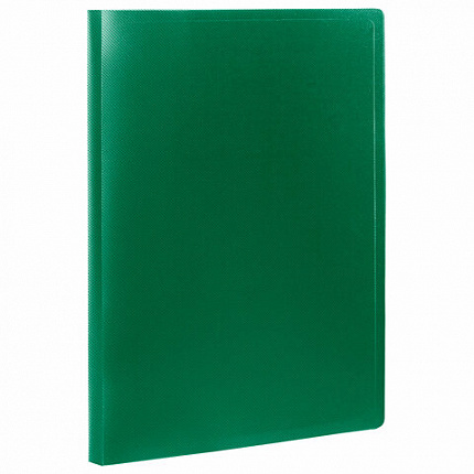 Папка на 2 кольцах А4 BRAUBERG PIXEL, 25 мм, темно-зеленая, до 170 листов, 0,5 мм, 273033