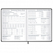 Дневник 1-11 класс 48 л., твердый, BRAUBERG, матовая ламинация, резинка, закладка-ляссе, с подсказом, "Дракон", 107240