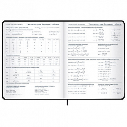 Дневник 1-11 класс 48 л., твердый, BRAUBERG, матовая ламинация, резинка, закладка-ляссе, с подсказом, "Дракон", 107240
