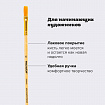 Кисть ПИФАГОР, СИНТЕТИКА, плоская, № 6, деревянная лакированная ручка, пакет с подвесом, 200859