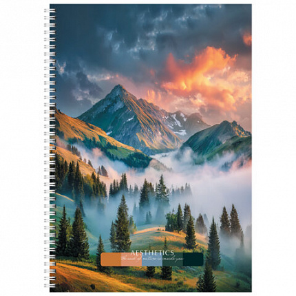 Тетрадь А4 96 л. STAFF College гребень, клетка, офсет №2 ЭКОНОМ, обложка картон, ПРИРОДА, 405619