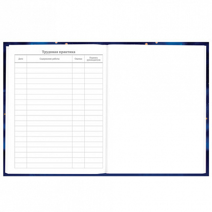 Дневник 5-11 класс 48 л., твердый, BRAUBERG, выборочный лак, с подсказом, "Бабочки", 107198