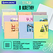 Тетради предметные, КОМПЛЕКТ 12 ПРЕДМЕТОВ, 48 листов, обложка картон, BRAUBERG, "ПАСТЕЛЬНАЯ", 404026