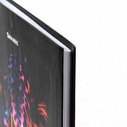 Дневник 5-11 класс 48 л., гибкая обложка, BRAUBERG, глянцевая ламинация, с подсказом, "Гепард", 106862