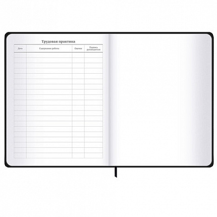 Дневник 1-11 класс 48 л., твердый, BRAUBERG, матовая ламинация, резинка, закладка-ляссе, с подсказом, "Дракон", 107240